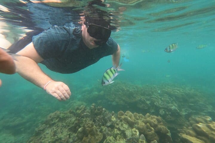 Phi Phi Islands Speedboat Day Trip: Maya Bay, Pileh Lagoon & Snorkeling from Phuket photo 3