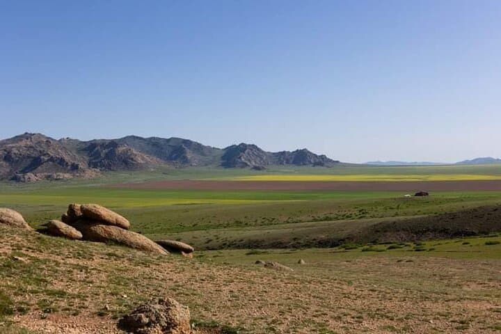Immersive Gobi Experience: Camel Rides, Gers & Stargazing from Ulaanbaatar photo 6
