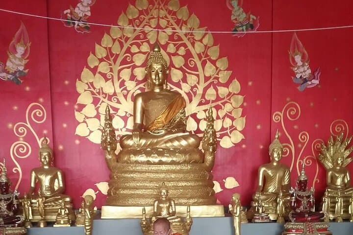 Phuket Big Buddha, Monkey Hill & Old Town Day Tour — Views, Culture & Wildlife photo 4