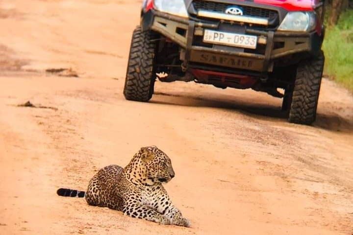 Colombo to Yala Leopard Safari — Private Day Tour to Yala National Park photo 1