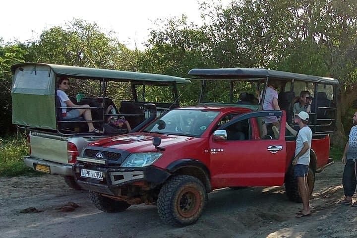 Colombo to Yala Leopard Safari — Private Day Tour to Yala National Park photo 3