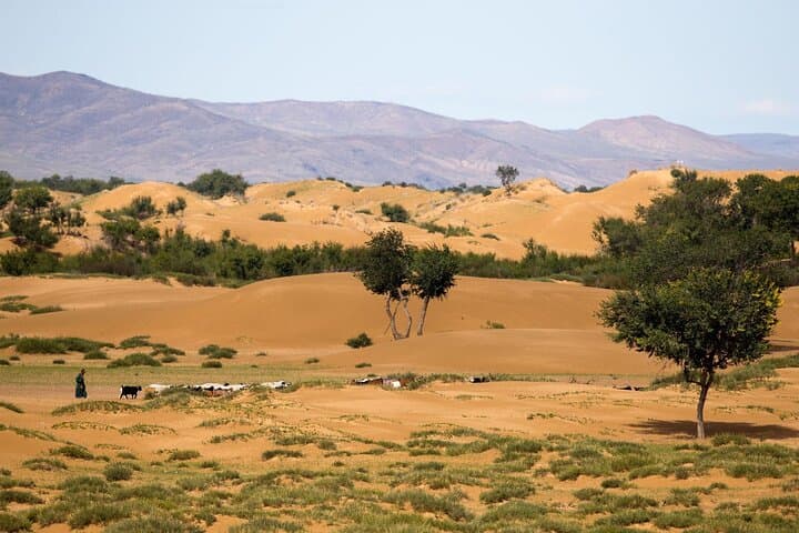 Immersive Gobi Experience: Camel Rides, Gers & Stargazing from Ulaanbaatar