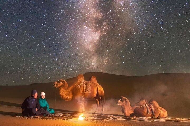 Immersive Gobi Experience: Camel Rides, Gers & Stargazing from Ulaanbaatar photo 3