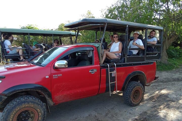 Wilpattu Leopard Safari: Private Day Trip from Colombo or Negombo photo 2