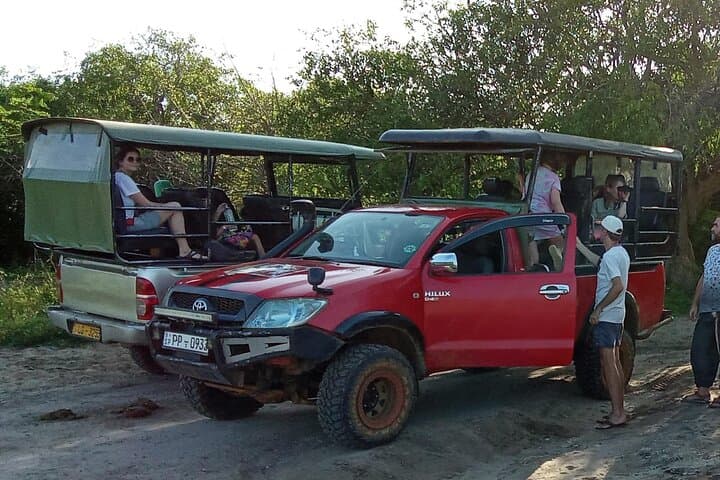 Wilpattu Leopard Safari: Private Day Trip from Colombo or Negombo photo 3