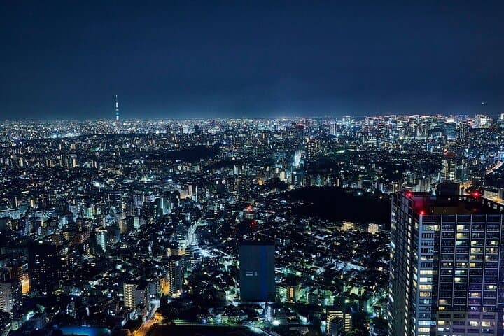 Sunshine 60 Observatory Tenbou Park: Tokyo Skyline Views & Edge Skywalk Experience photo 2