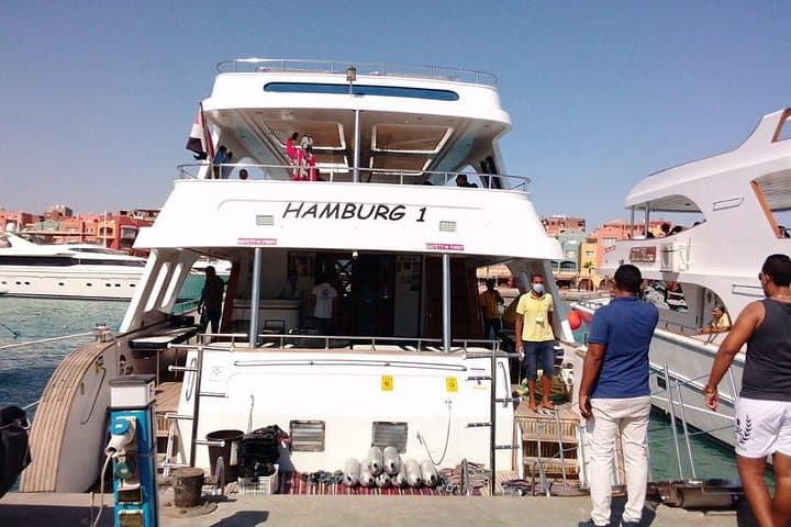 Royal Dolphin House Sea Trip Hurghada — Snorkel with Wild Dolphins in the Red Sea photo 2