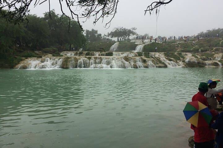 Private Salalah Tour: Frankincense, Coast and City Highlights photo 4