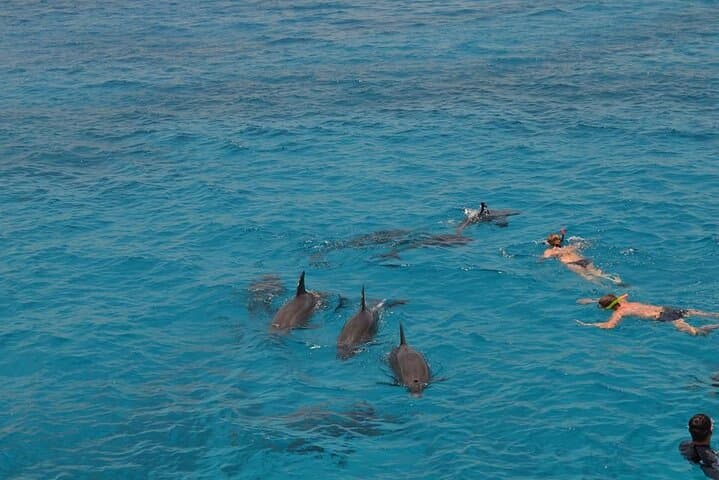 Hurghada Semi-Submarine & Snorkeling Cruise — Underwater Panorama Adventure photo 2