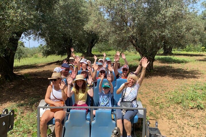 Private Half-Day Olive Oil Tour & Tasting in Limbadi, Calabria