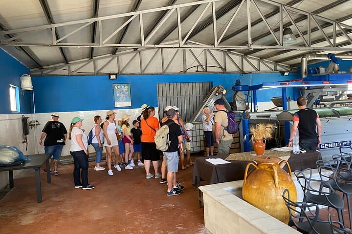 Private Half-Day Olive Oil Tour & Tasting in Limbadi, Calabria photo 3