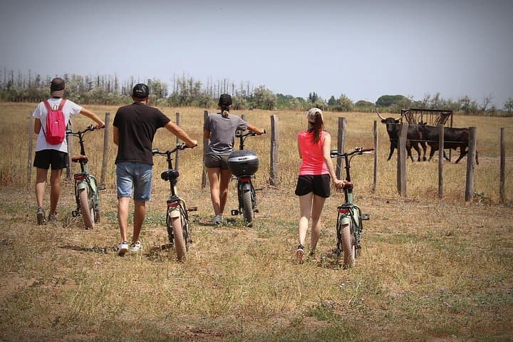 E‑Bike Safari from Aigues-Mortes: Camargue Flamingos, Horses & Salt Marsh Trails