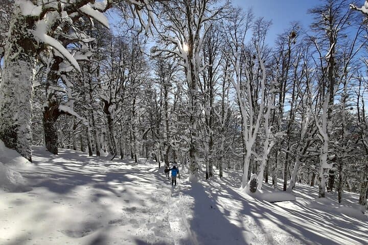 Private Winter Trekking in Bariloche — Snowshoe the Nahuel Huapi Andes photo 2