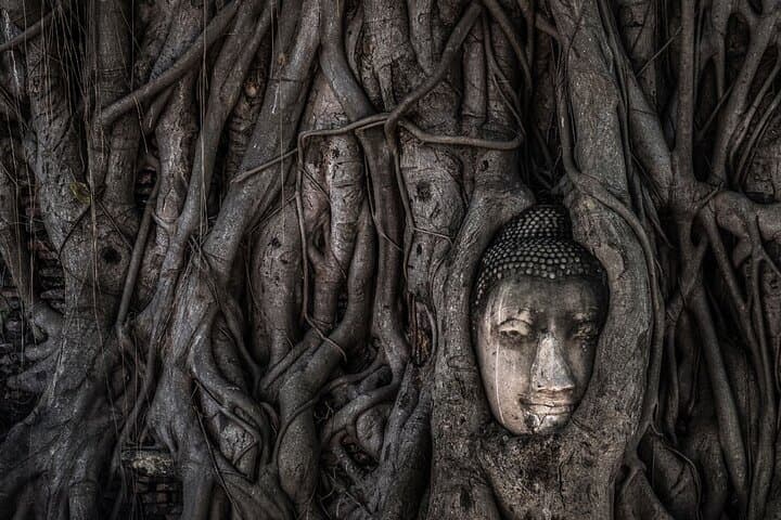 Ayutthaya Day Tour by Coach & Chao Phraya Cruise: Temples, River Views, and Thai Lunch photo 3