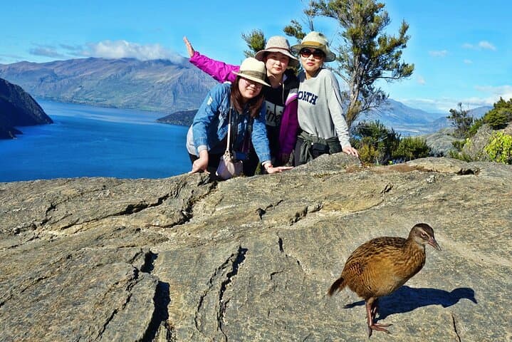 Mou Waho Island Cruise & Self-Guided Walk — Lake Wanaka Conservation Cruise photo 2