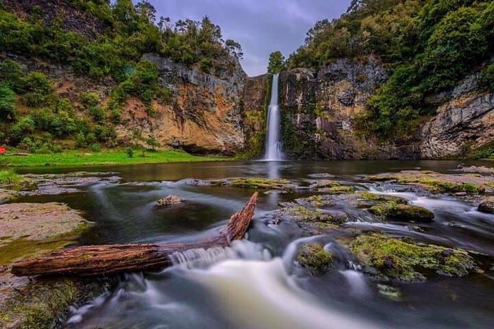 Coast-to-City Auckland: Hunua Falls, Pohutukawa Coast & Sky Tower Edge Walk photo 2