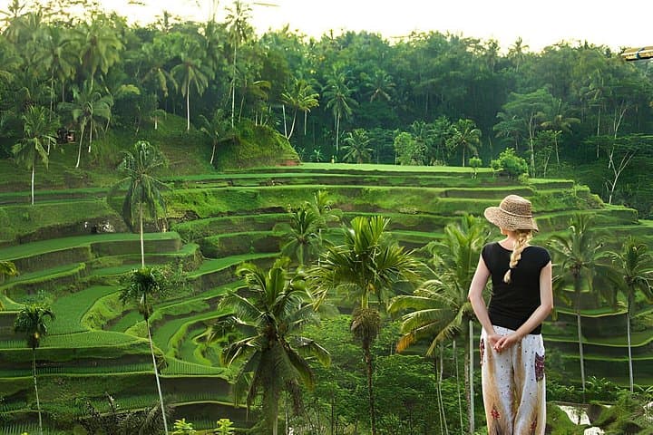 Ubud Highlights: Monkey Forest, Tegalalang Rice Terraces, Tirta Empul & Waterfall Day Tour photo 1