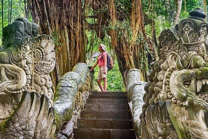 Ubud Highlights: Monkey Forest, Tegalalang Rice Terraces, Tirta Empul & Waterfall Day Tour photo 3