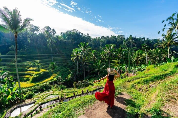 Best of Ubud in One Day: Monkey Forest, Tegalalang & Waterfall Shore Excursion