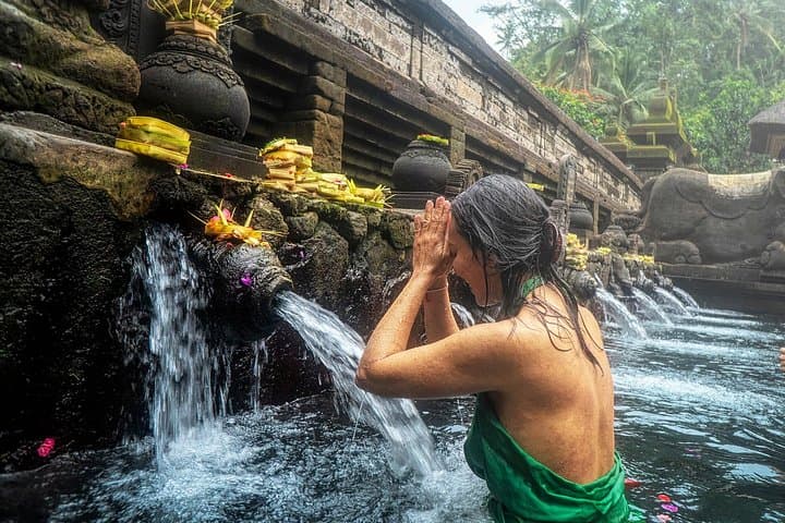 Ubud Highlights: Monkey Forest, Tegalalang Rice Terraces, Tirta Empul & Waterfall Day Tour photo 4