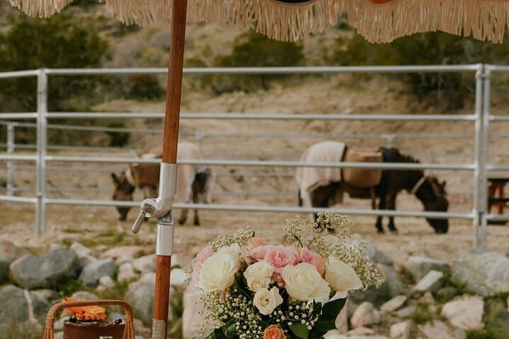 Brunch with Mini Rescue Burros Near Mt San Jacinto | Private Ranch Picnic