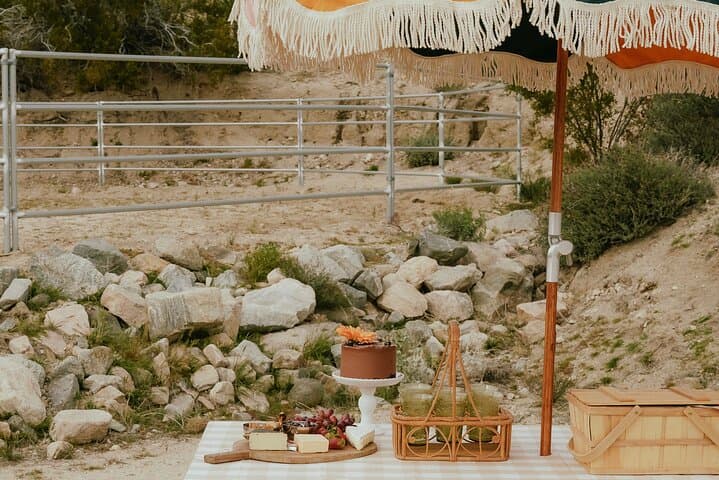 Brunch with Mini Rescue Burros Near Mt San Jacinto | Private Ranch Picnic photo 6