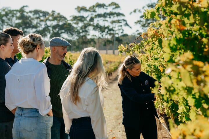 Cape Mentelle Behind the Scenes Wine Tour with Food & Wine Pairing — Margaret River Tasting Experience photo 6