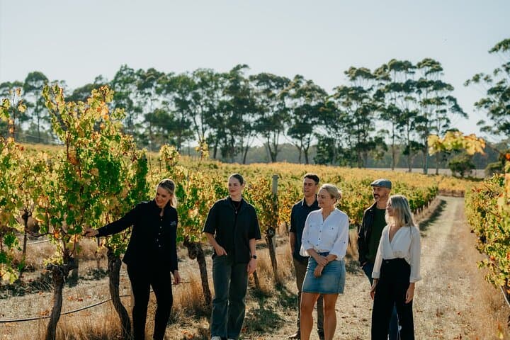 Cape Mentelle Behind the Scenes Wine Tour with Food & Wine Pairing — Margaret River Tasting Experience photo 3