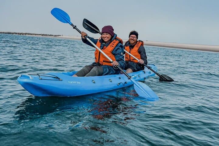 Pelican Point Kayaking: Seal & Dolphin Tours from Walvis Bay photo 2