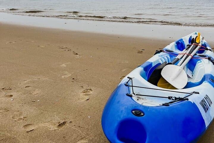 Pelican Point Kayaking: Seal & Dolphin Tours from Walvis Bay photo 3