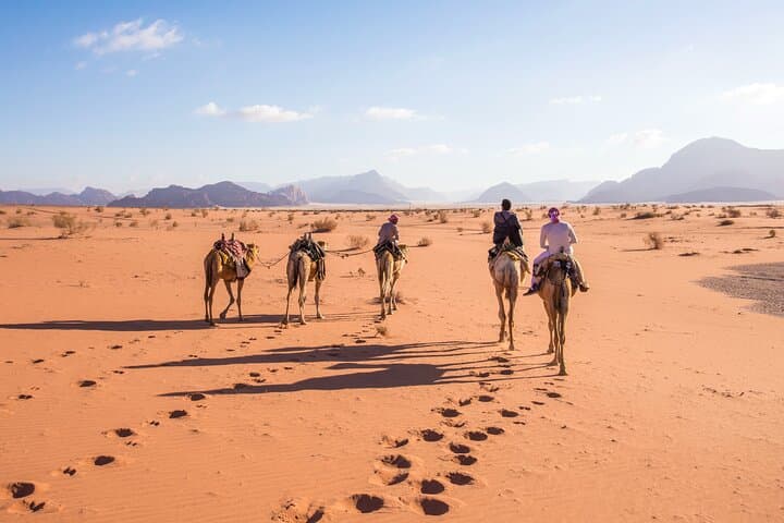 Jordan Joy: 3-Night Private Wadi Rum, Petra & Dead Sea Tour