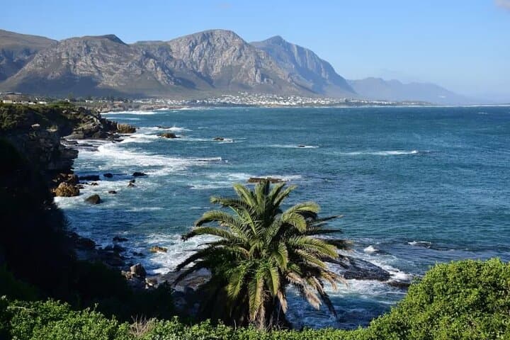 Hermanus Whale Watching: Best Boat Tours May–December photo 4