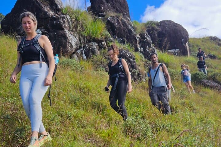 Half-Day Waterfall Hike in Munnar: Tea Trails to Viriparai Falls photo 2