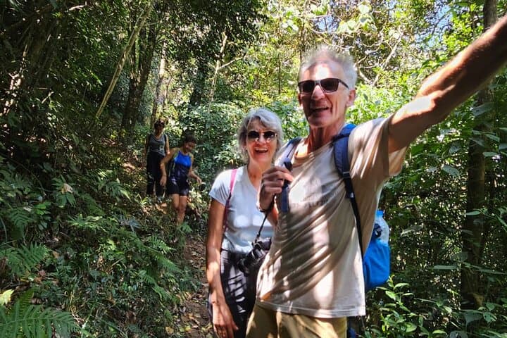 Half-Day Waterfall Hike in Munnar: Tea Trails to Viriparai Falls photo 4