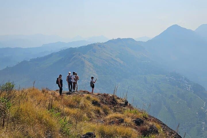 Half-Day Waterfall Hike in Munnar: Tea Trails to Viriparai Falls photo 5