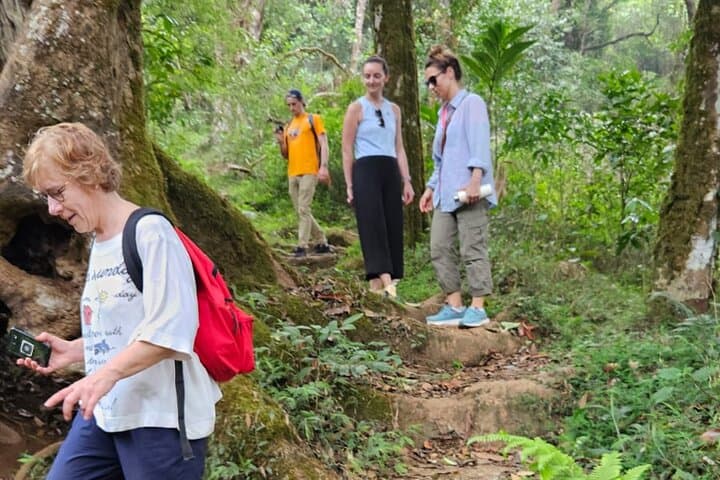 Half-Day Waterfall Hike in Munnar: Tea Trails to Viriparai Falls photo 6