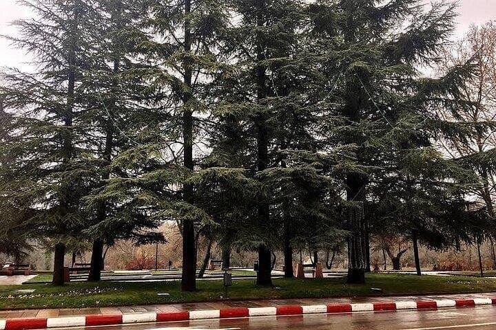 Fez to the Middle Atlas: Day Trip to Ifrane, Azrou & Imouzzer Cedar Forests photo 2