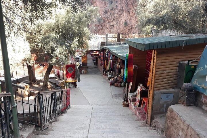 Ouzoud Waterfalls Day Trip from Marrakech — 110m Cascades & Berber Villages photo 4