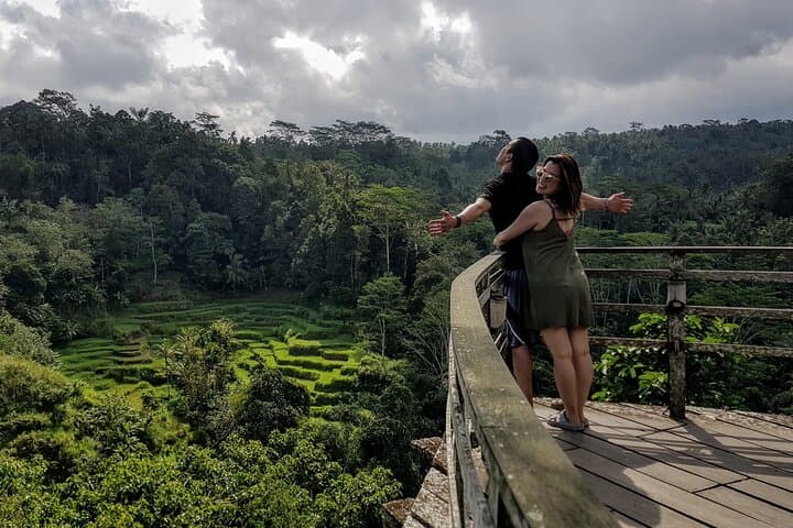 Ubud Temple & Waterfall Day Tour — Tegenungan, Tegalalang & Tirta Empul photo 4