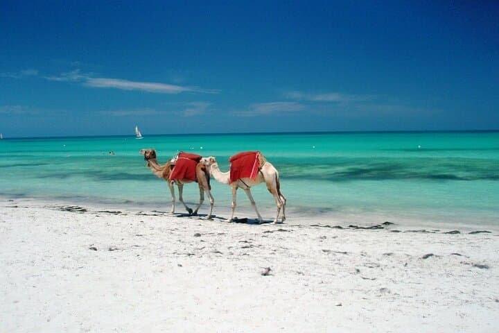 14-Day Tunisia Adventure: From Carthage Ruins to Sahara Oases photo 4
