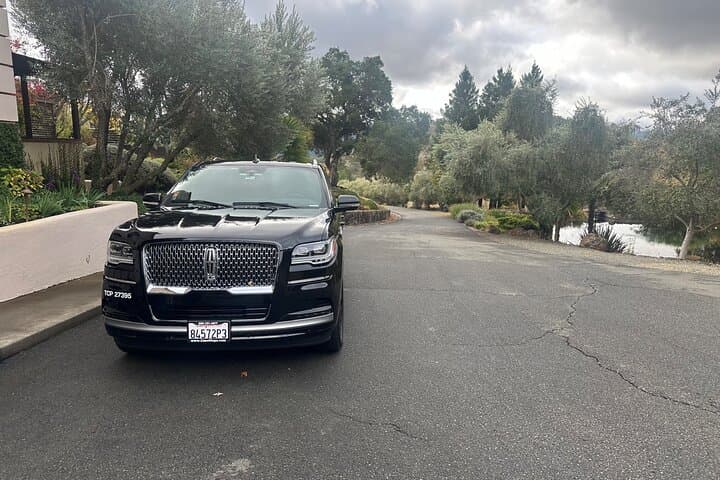Private 6-Hour Wine Tour in Napa or Sonoma Valley — Tasting Itinerary & Practical Tips photo 4