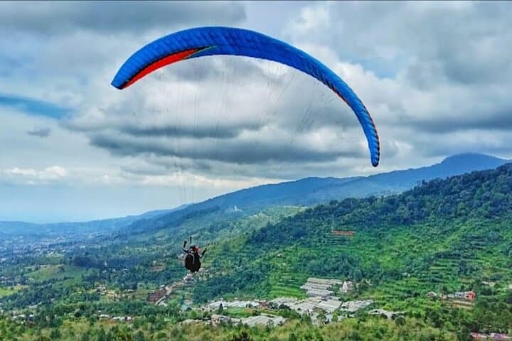 Puncak Tea Plantation & Tandem Paragliding: Bogor Day Trip with Private Driver photo 5