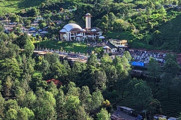 Puncak Tea Plantation & Tandem Paragliding: Bogor Day Trip with Private Driver photo 4