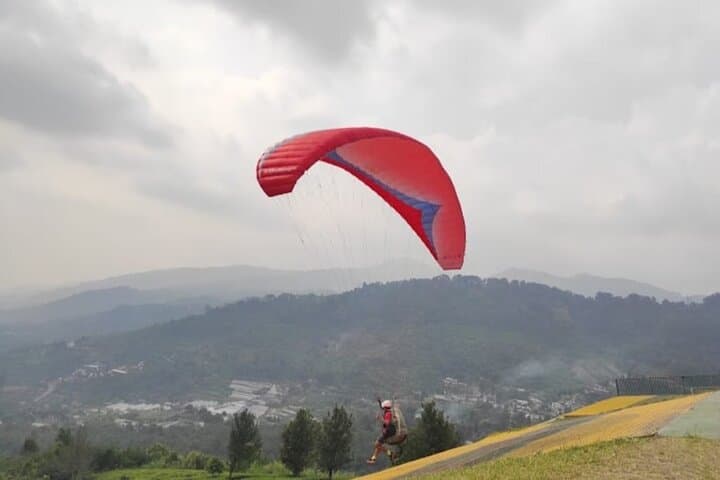 Puncak Tea Plantation & Tandem Paragliding: Bogor Day Trip with Private Driver photo 3