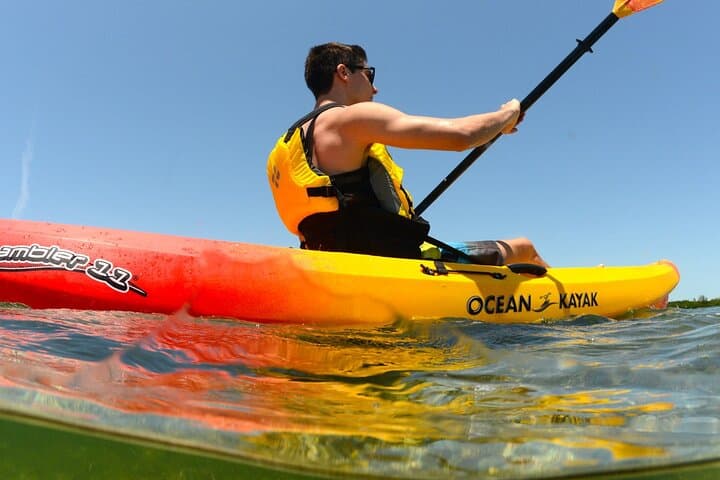 Miami Beach Kayak Tour: Paddle Biscayne Bay & Miami Skyline photo 3