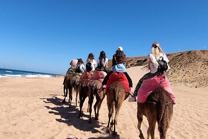 Tangier Scenic Drive and Camel Trek: Cape Spartel & Hercules Caves photo 5