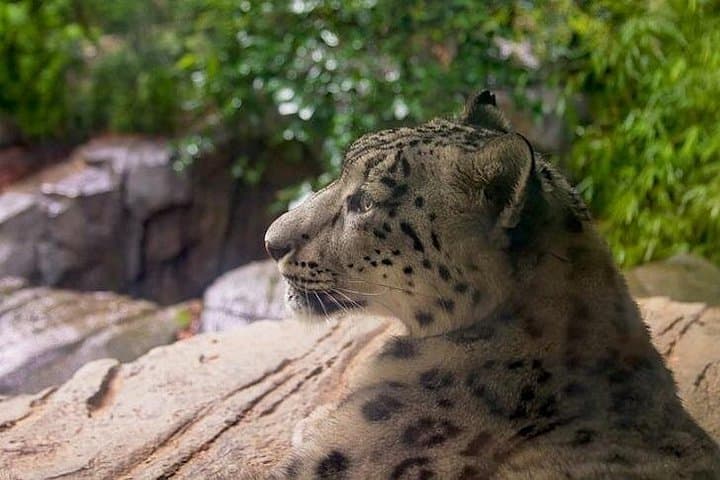 Central Park Zoo & 3-Hour Manhattan Walking Tour — Wall Street to Flatiron photo 2