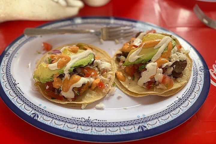 Puerto Morelos Taco & Tequila Beachside Food Tour from Cancun photo 5