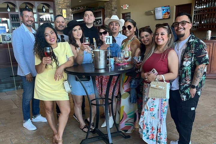 Temecula Guided Winery Tour: Party Bus to Three Top Vineyards