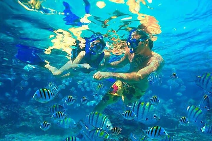 Punta Cana Adults-Only Catamaran Party — Snorkel, Dolphins & Open Bar photo 3